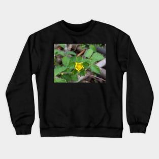 Wild Strawberry Bloom 2 Crewneck Sweatshirt